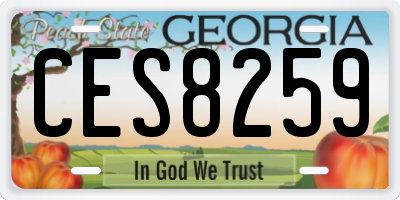 GA license plate CES8259