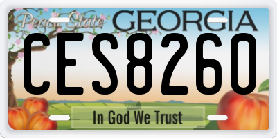 GA license plate CES8260