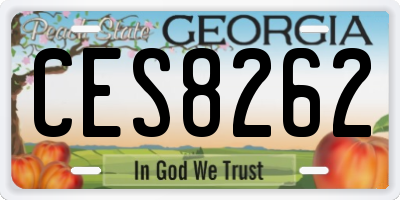 GA license plate CES8262