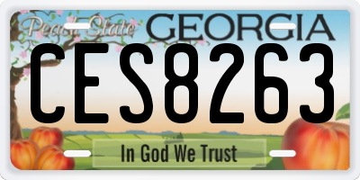 GA license plate CES8263