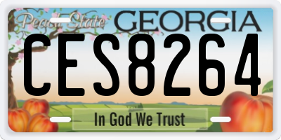 GA license plate CES8264