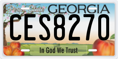 GA license plate CES8270