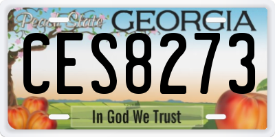 GA license plate CES8273