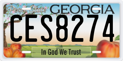 GA license plate CES8274