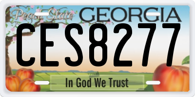 GA license plate CES8277