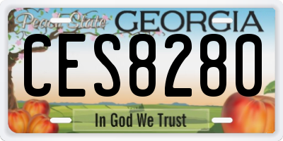GA license plate CES8280