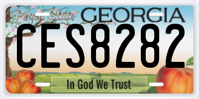 GA license plate CES8282