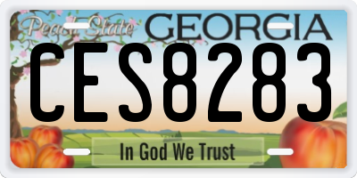 GA license plate CES8283