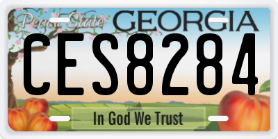 GA license plate CES8284