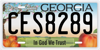 GA license plate CES8289