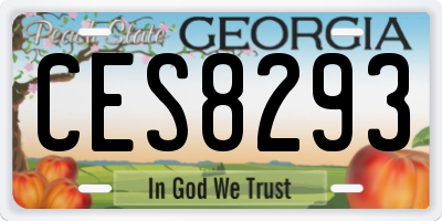 GA license plate CES8293