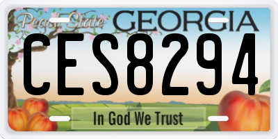 GA license plate CES8294