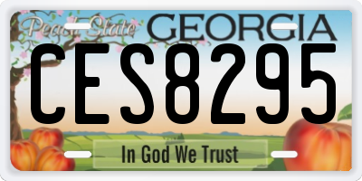 GA license plate CES8295