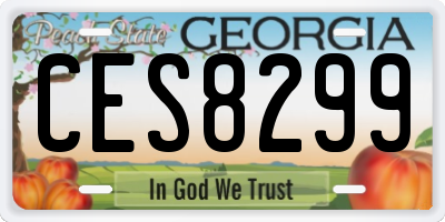 GA license plate CES8299