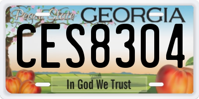 GA license plate CES8304