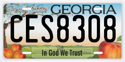 GA license plate CES8308