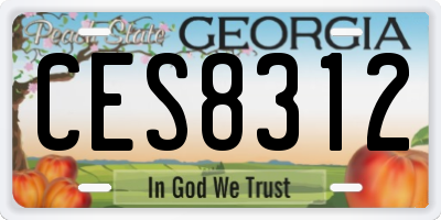 GA license plate CES8312