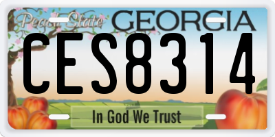 GA license plate CES8314