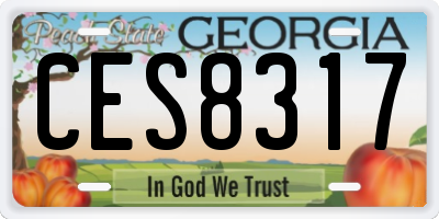 GA license plate CES8317