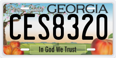 GA license plate CES8320