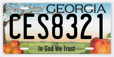 GA license plate CES8321