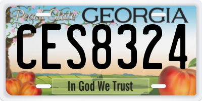 GA license plate CES8324