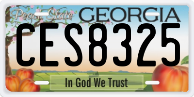 GA license plate CES8325