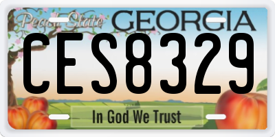 GA license plate CES8329