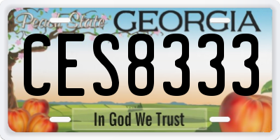 GA license plate CES8333