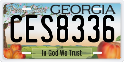 GA license plate CES8336