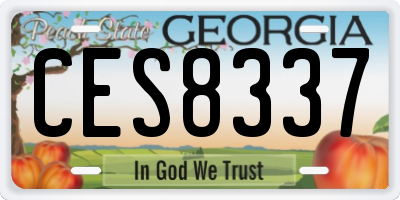 GA license plate CES8337