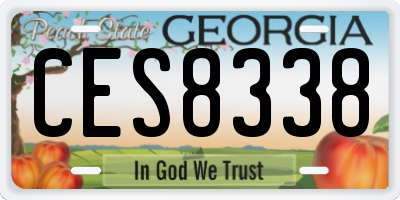 GA license plate CES8338