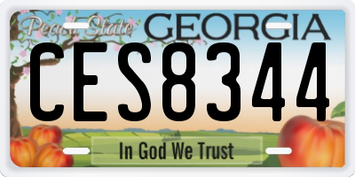 GA license plate CES8344