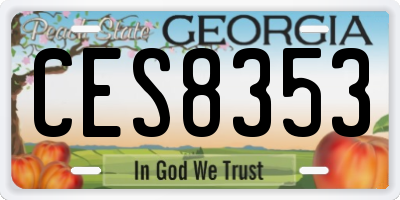 GA license plate CES8353