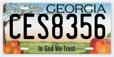 GA license plate CES8356