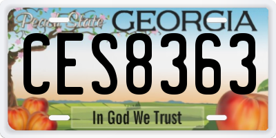 GA license plate CES8363