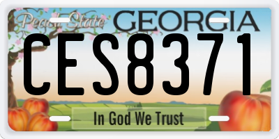 GA license plate CES8371