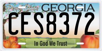 GA license plate CES8372