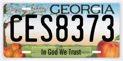 GA license plate CES8373