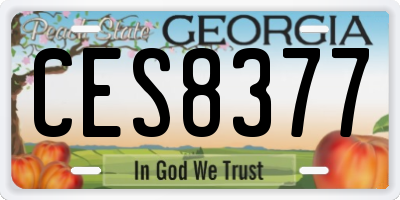 GA license plate CES8377