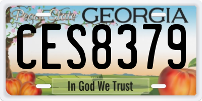 GA license plate CES8379
