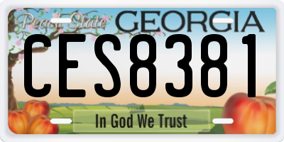 GA license plate CES8381