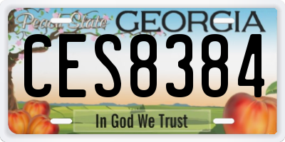GA license plate CES8384