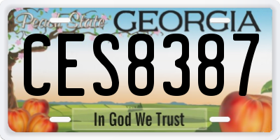 GA license plate CES8387