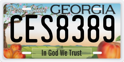 GA license plate CES8389
