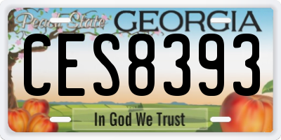 GA license plate CES8393