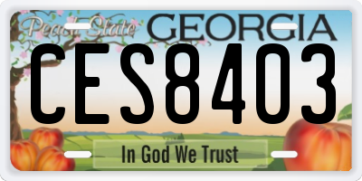GA license plate CES8403