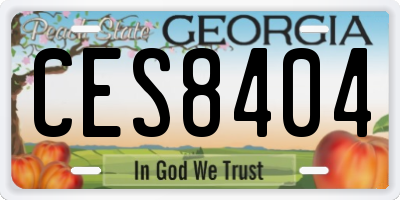 GA license plate CES8404