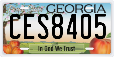 GA license plate CES8405