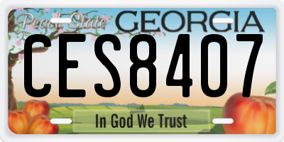GA license plate CES8407